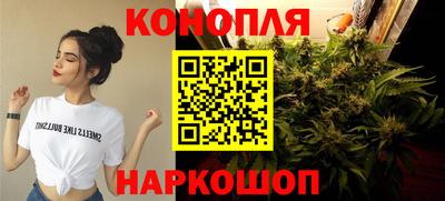 гидропоника Ливны