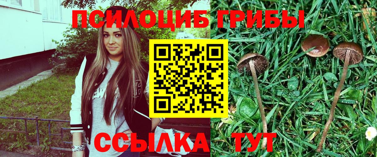 Alpha PVP Ивантеевка